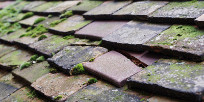 Pwllmeyric roof repair costs